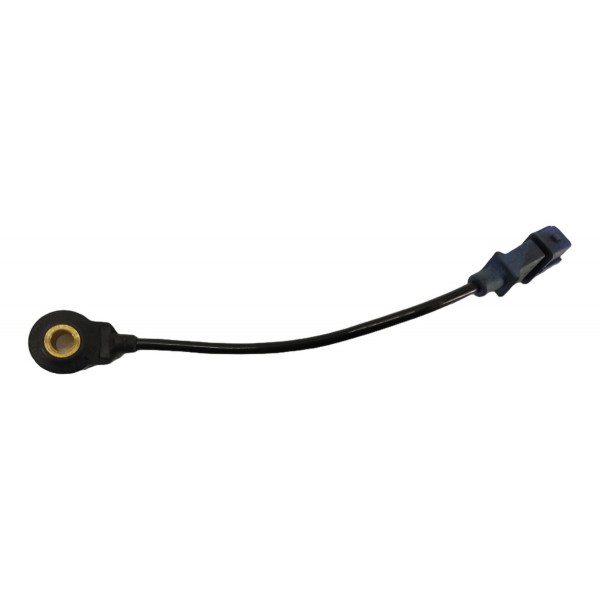 Sensor Detonação Chery Tiggo 2 1.5 2018 0261231213